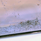 Image for article titled You Can't Steal Data From a Chip That's Self-Destructed